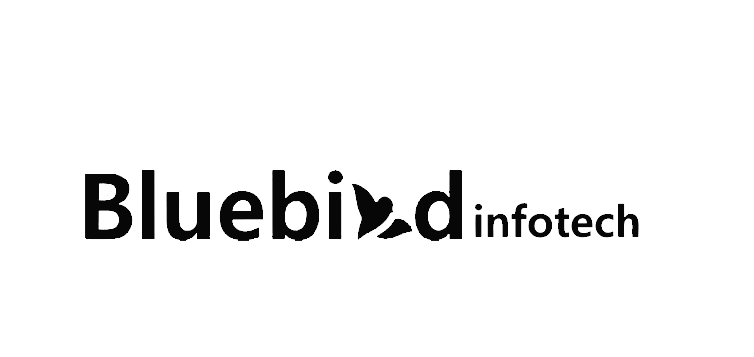Bluebird Infotech Solution LLP